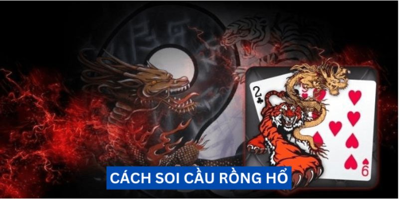 Khái niệm về cách soi cầu rồng hổ